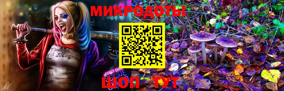 Ипатово  как найти   Вход с VPN  Псилоцибиновые грибы GOLDEN TEACHER 